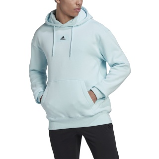 adidas Kapuzenpullover Essentials Feelvivid Baumwolle hellblau Herren